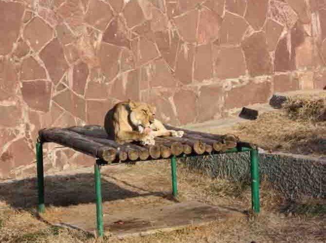 Алматинский зоопарк