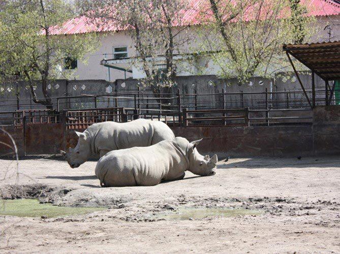Алматинский зоопарк