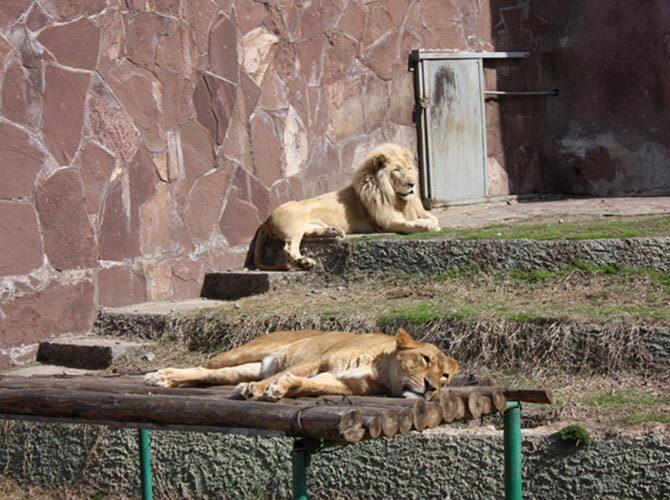 Алматинский зоопарк