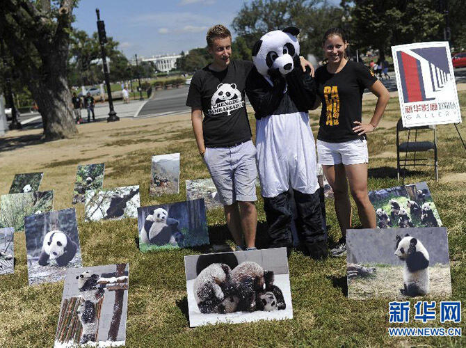 Глобальное турне в защиту большой панды прибыло в США