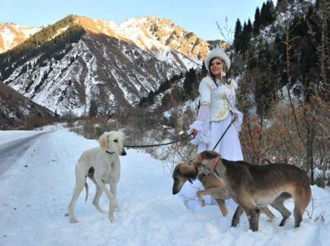 Участницы "Мисс Казахстан - 2013" в национальных костюмах. Фото: Вице-Алматы