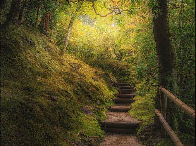 Лучшие фото National Geographic за март. Фото: Парк Гинкакудзи, Япония. Фото с сайта www.adme.ru