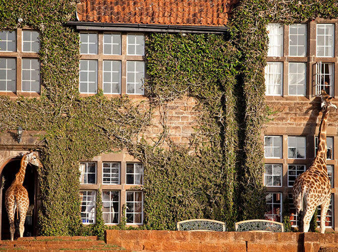 Отели, в которых хочется оказаться прямо сейчас. Фото: Giraffe Manor, Кения