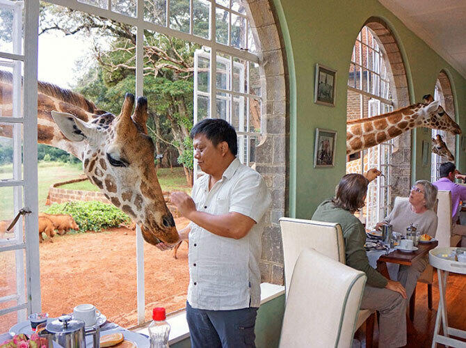 Отели, в которых хочется оказаться прямо сейчас. Фото: Giraffe Manor, Кения