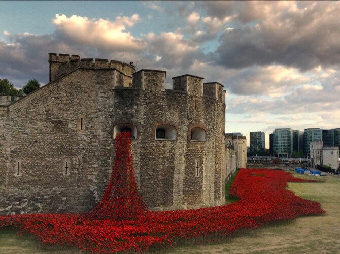 Лучшие арт-проекты года. Фото: 888 246 керамических маков. Фото с сайта http://www.adme.ru/