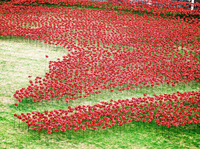 Лучшие арт-проекты года. Фото: 888 246 керамических маков. Фото с сайта http://www.adme.ru/