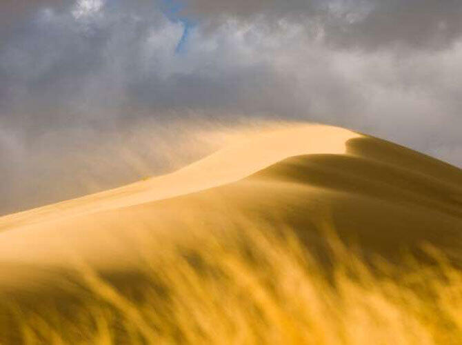 Самые удивительные пустыни мира. Фото: Мохаве, США. Фото с сайта http://www.msn.com/