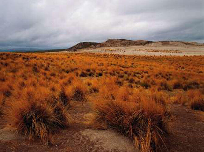 Самые удивительные пустыни мира. Фото: Патагония, Aргентина. Фото с сайта http://www.msn.com/