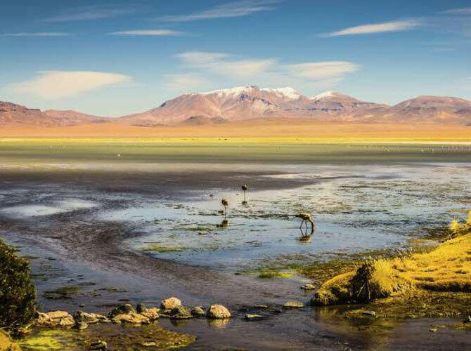 Самые удивительные пустыни мира. Фото: Атакама, Чили. Фото с сайта http://www.msn.com/