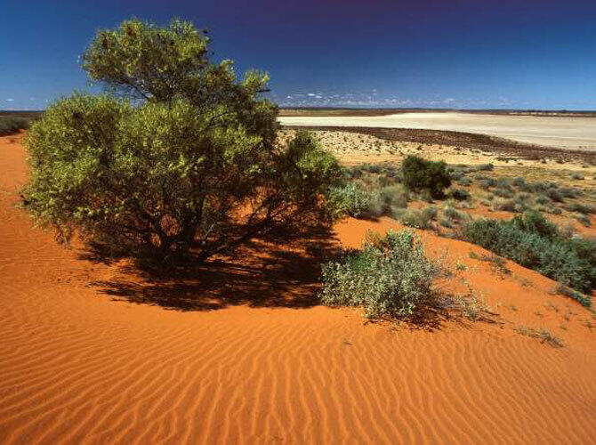 Самые удивительные пустыни мира. Фото: Большая пустыня виктория, Австралия. Фото с сайта http://www.msn.com/