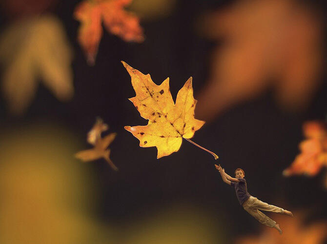 Сказочный «Маленький народ» 14-летнего фотографа. Фото: Фото с сайта http://bigpicture.ru/