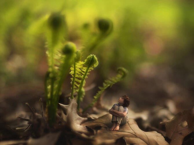 Сказочный «Маленький народ» 14-летнего фотографа. Фото: Фото с сайта http://bigpicture.ru/