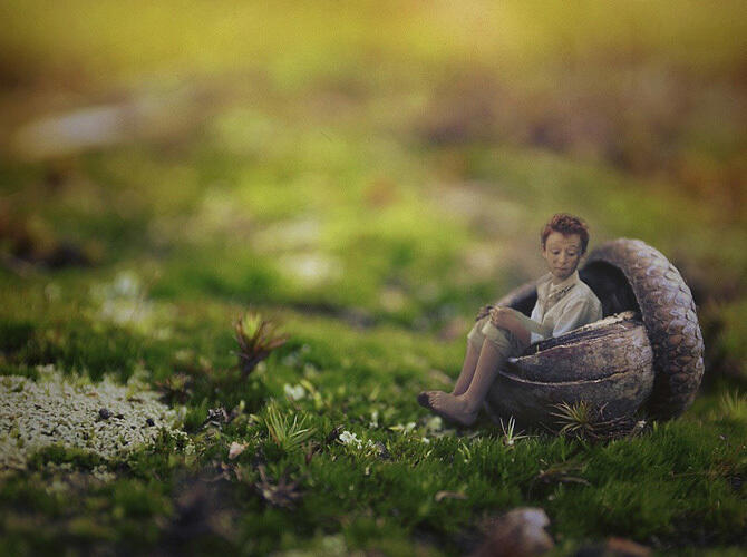 Сказочный «Маленький народ» 14-летнего фотографа. Фото: Фото с сайта http://bigpicture.ru/