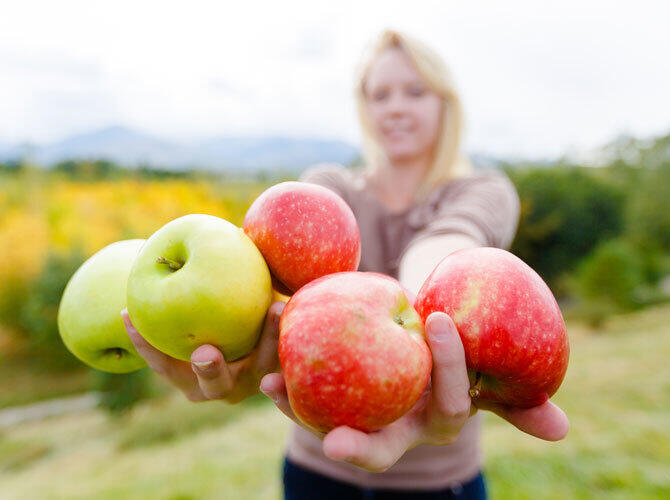 День города Алматы. Фото: Фото - Управление культуры г. Алматы