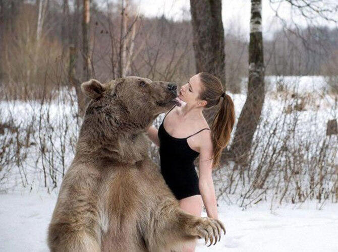 Сказочная фотосессия медведя Степана с русскими моделями