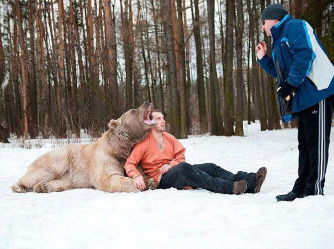 Сказочная фотосессия медведя Степана с русскими моделями