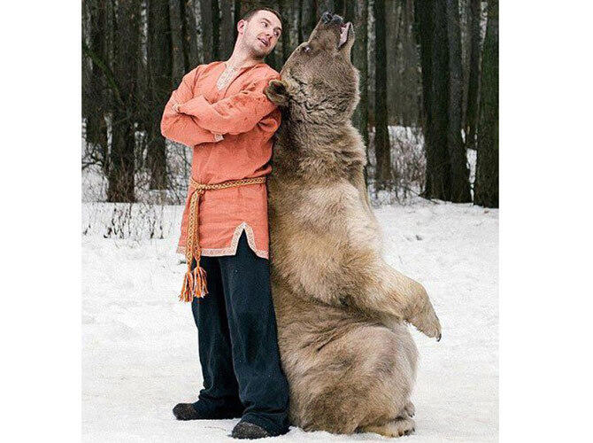 Сказочная фотосессия медведя Степана с русскими моделями