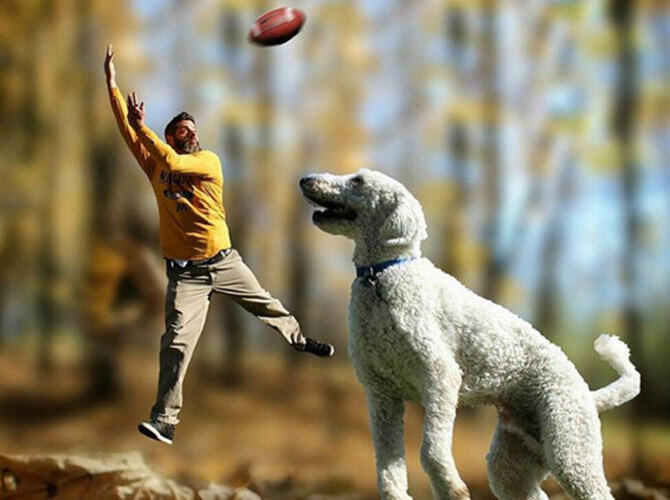 Американец сделал из своей собаки звезду Интернета с помощью фотошопа. Игры с мячом на природе. Фото: @christophercline / Instagram