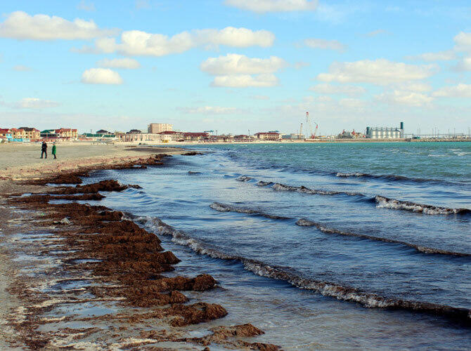 В Актау пляж у моря зарастает тиной, которую питает городской сток. Фото: Максат Акмуратов