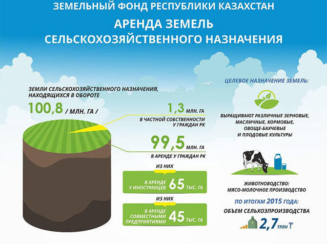 Инфографика: Сколько земель сельхозназначения арендуют иностранцы?. Фото: http://jerturaly.kz/