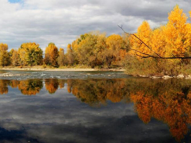 Фотоработы масштабного фотоконкурса "Я люблю Казахстан!" - Природа. Фото: Осень на реке Ульбе, ВКО