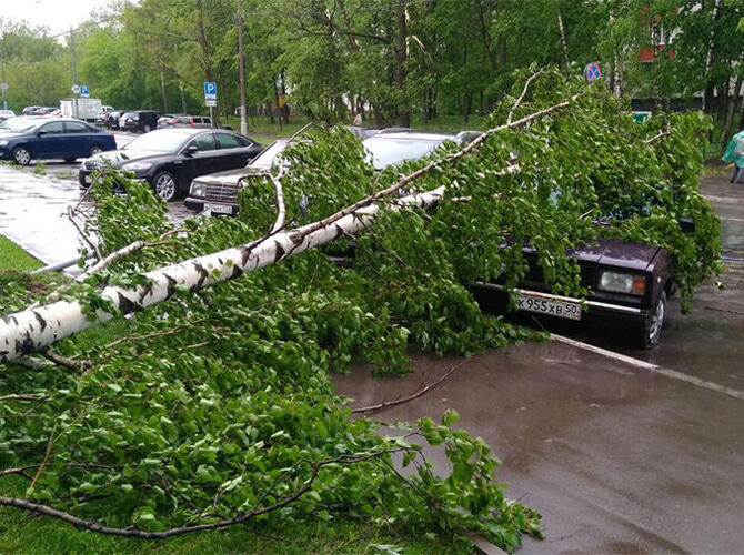 Последствия урагана в Москве. Фото: www.gazeta.ru