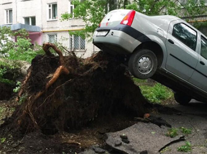 Последствия урагана в Москве. Фото: www.gazeta.ru