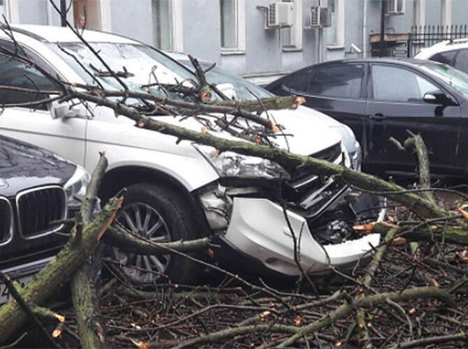 Последствия урагана в Москве