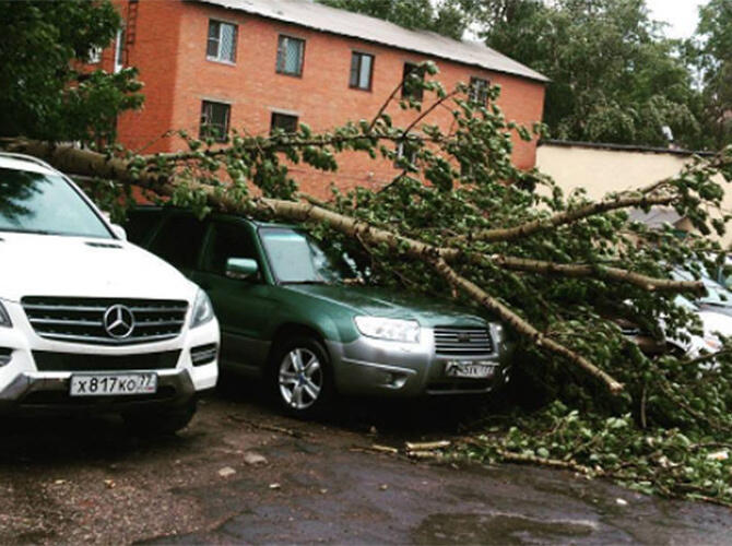 Последствия урагана в Москве. Фото: www.gazeta.ru