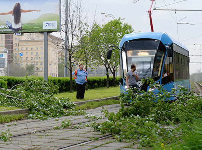 Последствия урагана в Москве. Фото: www.gazeta.ru