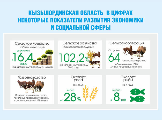 Инфографика: Кызылординская область в цифрах