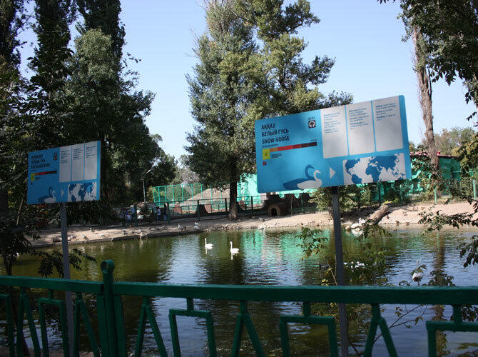 Алматинский зоопарк отметил 80-летие