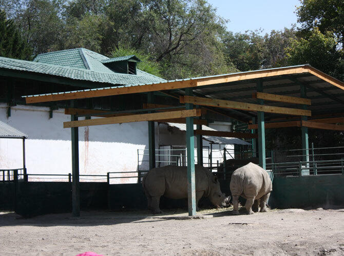 Алматинский зоопарк отметил 80-летие