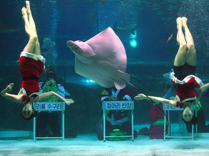 Снегурочки со всего мира. Фото: sputniknews.com