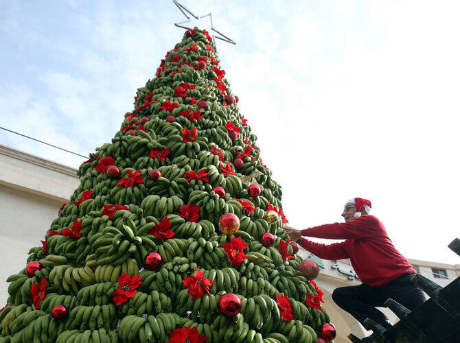 Рождественские елки со всего мира. Человек украшает елку из бананов в районе Дамур, к югу от Бейрута, Ливана. Фото: sputniknews.com