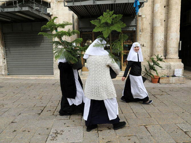 Рождественские елки со всего мира. Монахини несут рождественские елки, ежегодно раздаваемые муниципалитетом Иерусалима, в Старом Городе. Фото: sputniknews.com
