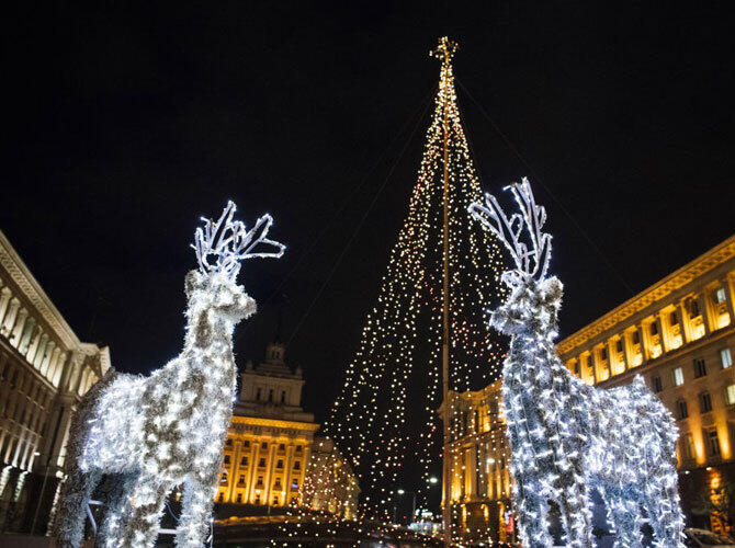 Рождественские елки со всего мира. Рождественские огни и украшения представлены в центральной части Софии. Фото: sputniknews.com