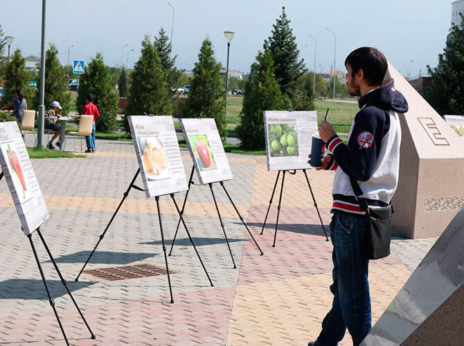В Алматы отпраздновали День города