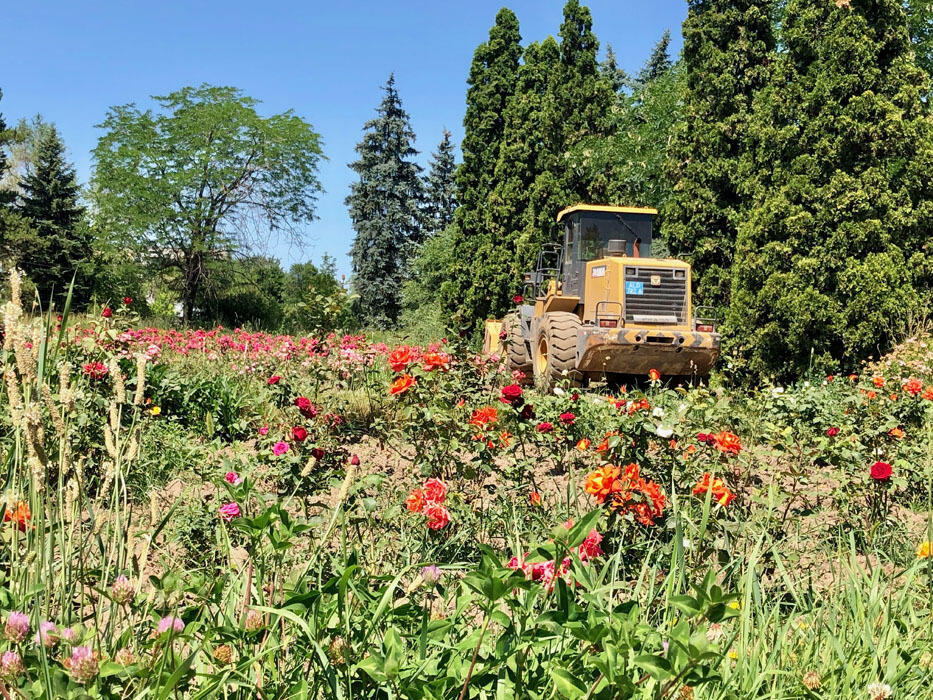Работы по реконструкции Ботанического сада в Алматы уже начались