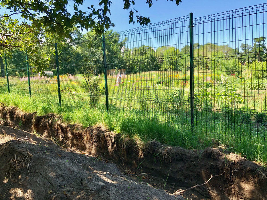 Работы по реконструкции Ботанического сада в Алматы уже начались