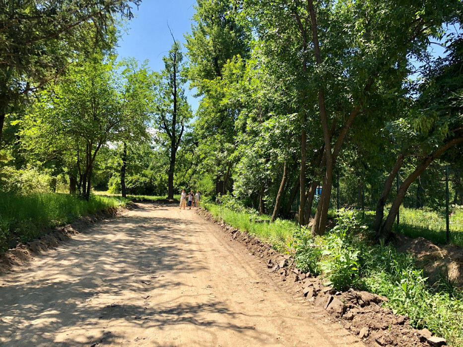 Работы по реконструкции Ботанического сада в Алматы уже начались