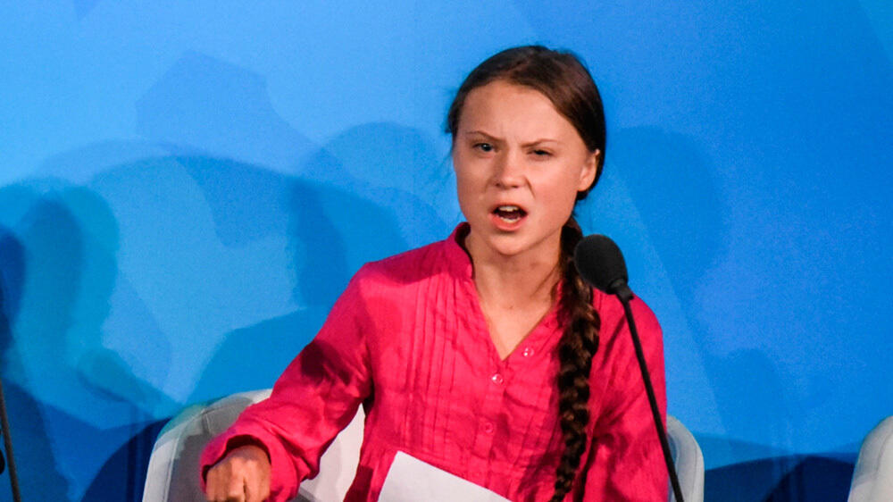 Пчелы с медом не воюют