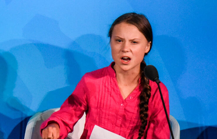 Пчелы с медом не воюют