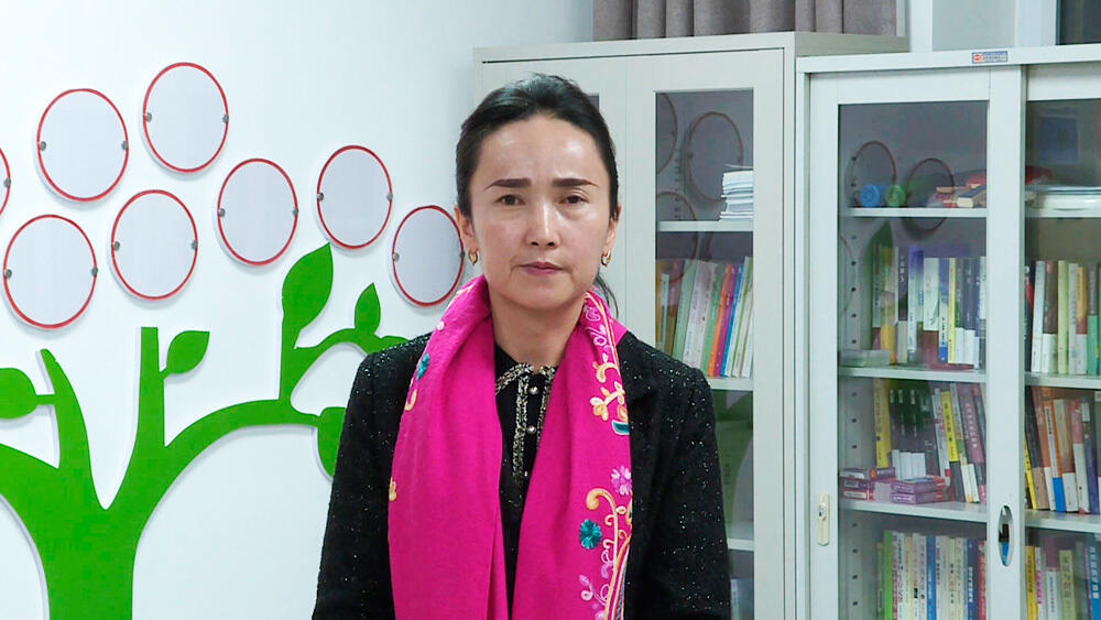 Подозреваемая в незаконном пересечении госграницы удостоена международной награды "За мужество" 