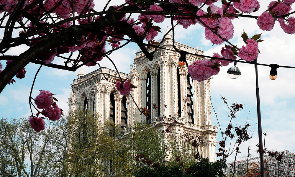 Как выглядит Нотр-Дам спустя год после пожара. Вид на Собор Парижской Богоматери, 11 апреля 2020 года. Фото: www.gazeta.ru