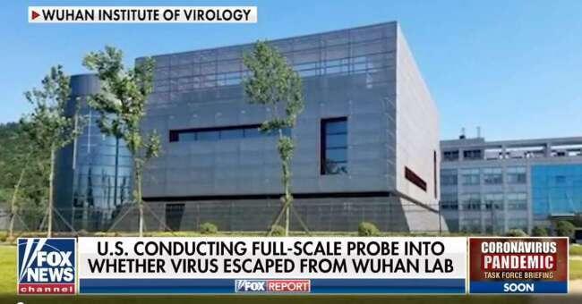 Обвинение США в адрес уханьского института вирусологии в создании коронавируса – безответственная болтовня