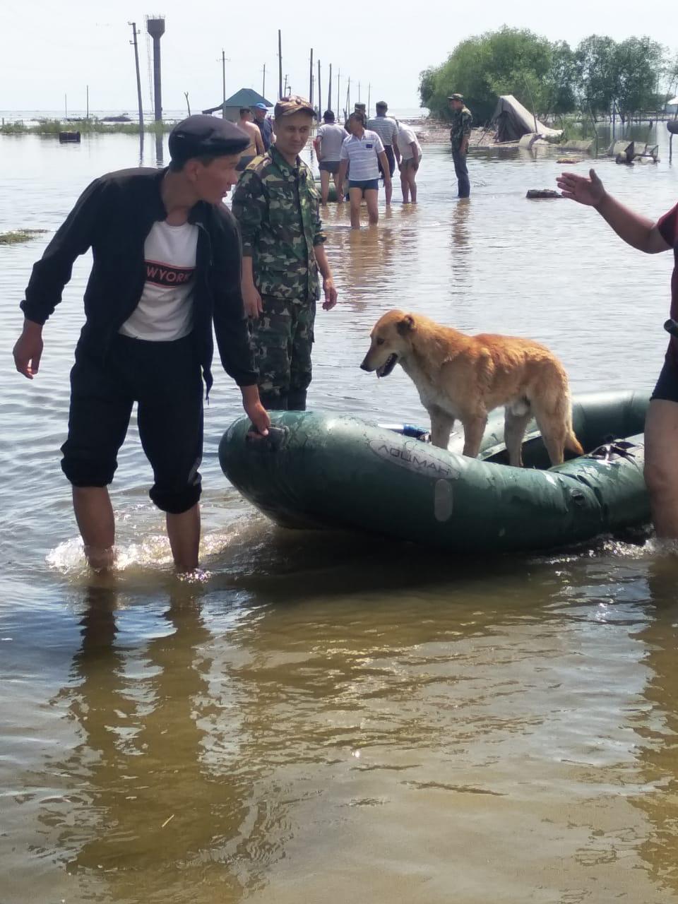 Ликвидация последствий ЧП в Туркестанской области