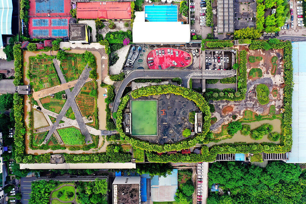 В Китае выращивают овощи на крышах зданий. Фото: Фото предоставлено: CNSPHOTO