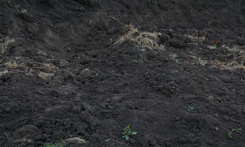 В предгорьях Алматы продолжаются незаконные свалки мусора и хищение плодородного слоя земли. Фото: Наурызбайский район, микрорайон Карагайлы
