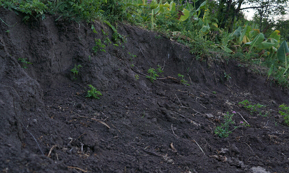 В предгорьях Алматы продолжаются незаконные свалки мусора и хищение плодородного слоя земли. Фото: Наурызбайский район, микрорайон Карагайлы